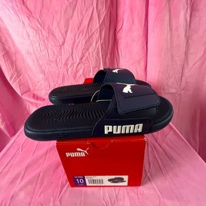 Puma Starcat Tech Slides